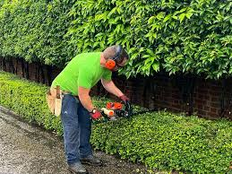 Professional hedge trimming service