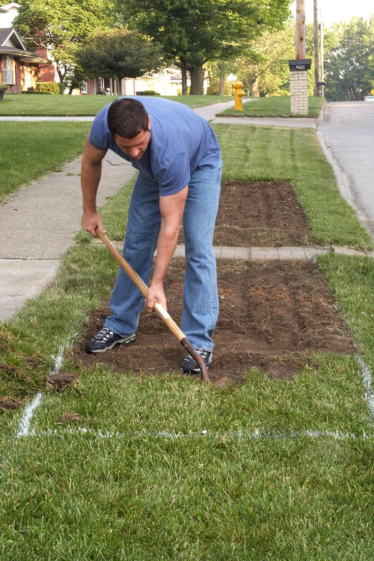 Professional lawn edging service