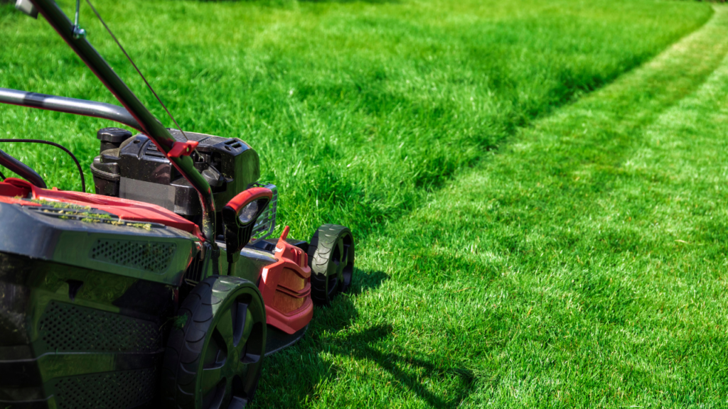 Professional lawn mowing equipment on pristine grass